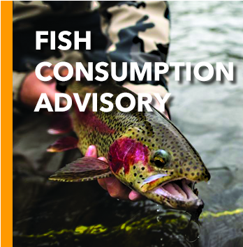 Fish Consumption Advisory
