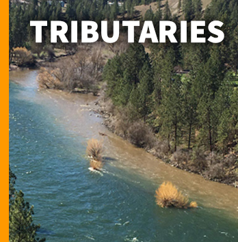 Tributaries