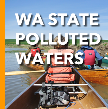 Washington State Polluted Waters